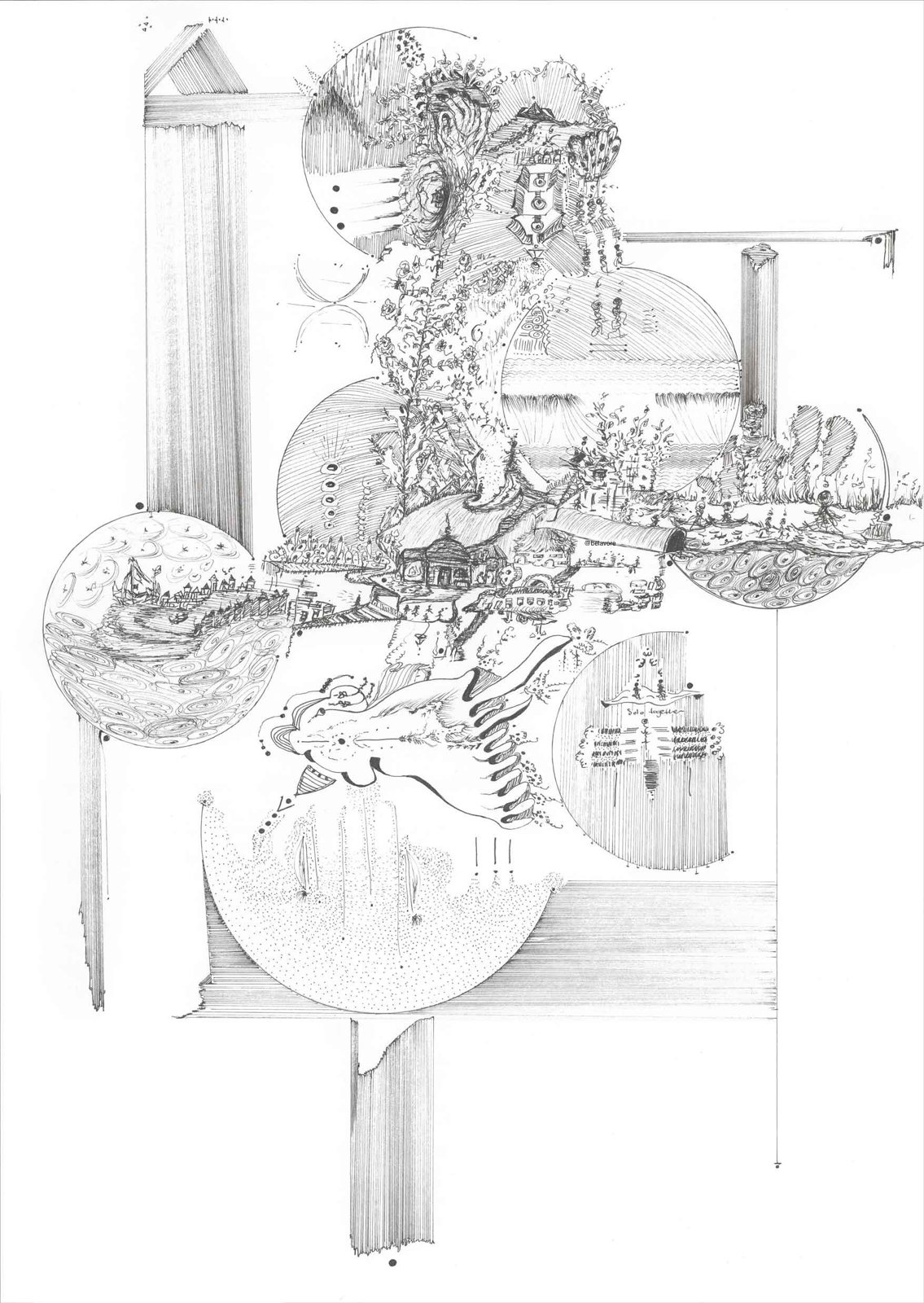 The Discovery